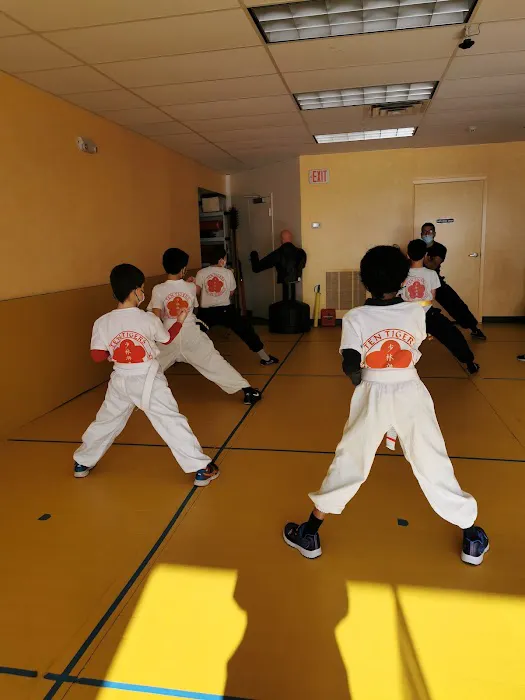 Ten Tigers Kung-Fu Academy Picture 6
