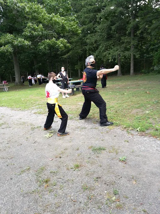 Ten Tigers Kung-Fu Academy Picture 9
