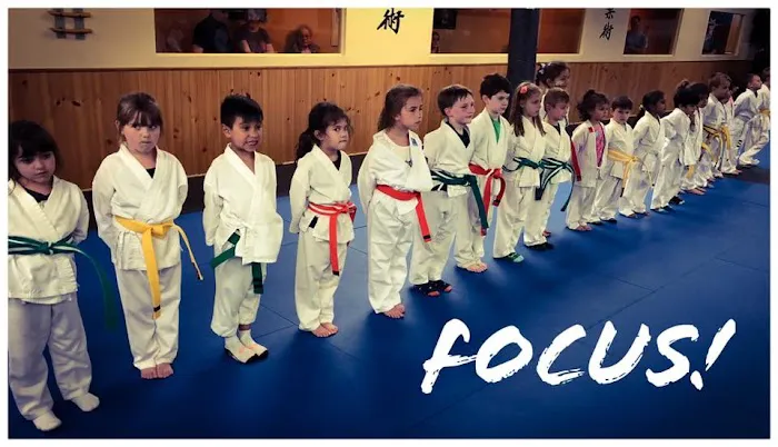 Trigon Academy of Martial Arts Picture 2