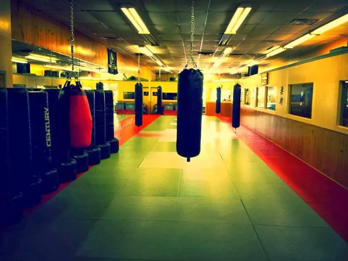 Trigon Academy of Martial Arts Picture 5