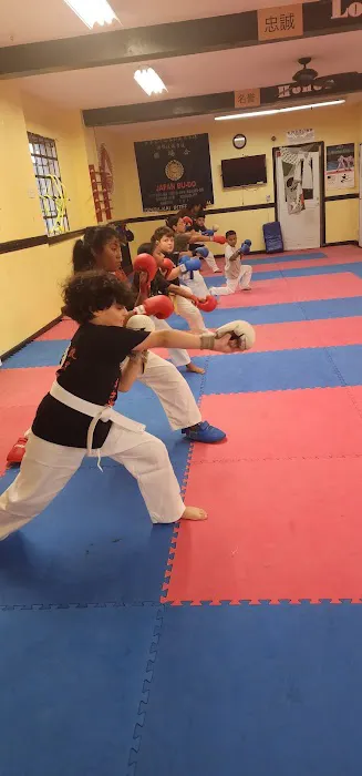 No Fear Karate Do Dojo & Family Center Picture 2