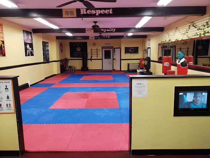 No Fear Karate Do Dojo & Family Center Picture 4