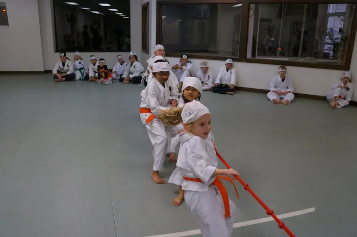 Shindokan Budo - Long Island Picture 1