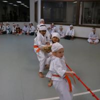 Shindokan Budo - Long Island ico