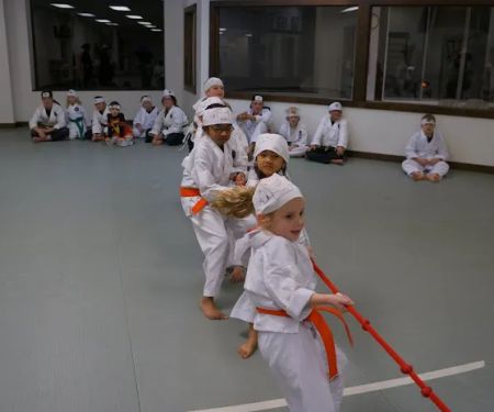 Shindokan Budo - Long Island