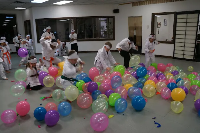 Shindokan Budo - Long Island Picture 4