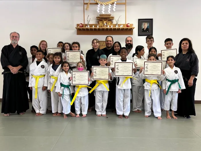 Shindokan Budo - Long Island Picture 8
