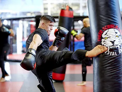 Tiger Schulmann's Martial Arts (New Windsor, NY) Picture 7