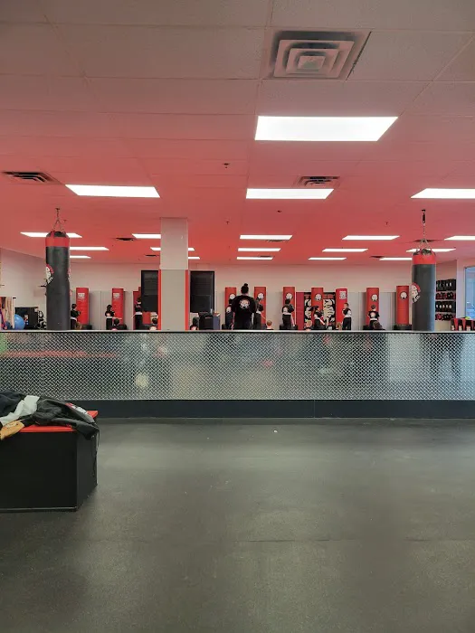 Tiger Schulmann's Martial Arts (New Windsor, NY) Picture 8