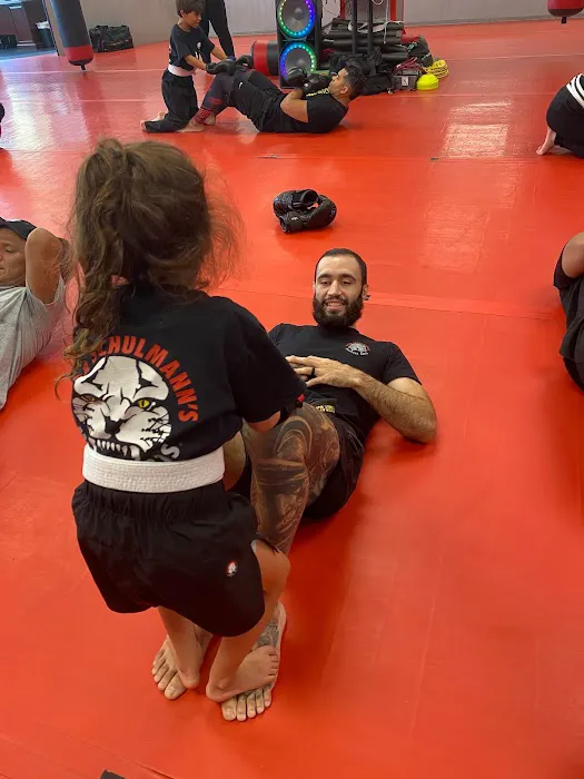 Tiger Schulmann's Martial Arts (New Windsor, NY) Picture 10