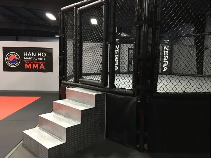 Han Ho Martial Arts & Secret Weapon MMA Picture 6