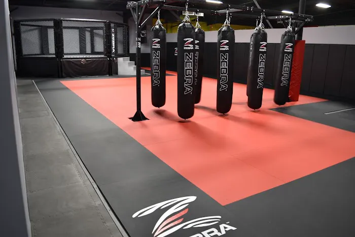 Han Ho Martial Arts & Secret Weapon MMA Picture 8