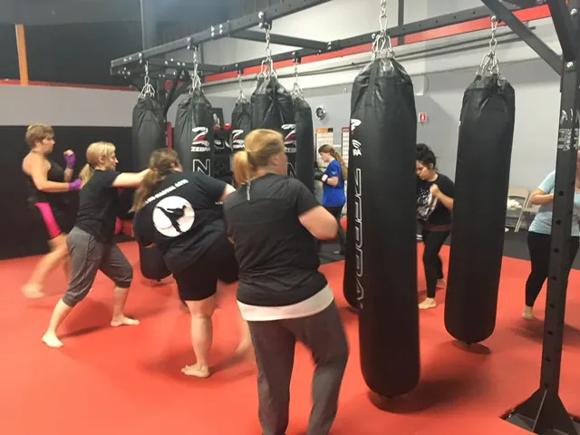 Han Ho Martial Arts & Secret Weapon MMA Picture 10
