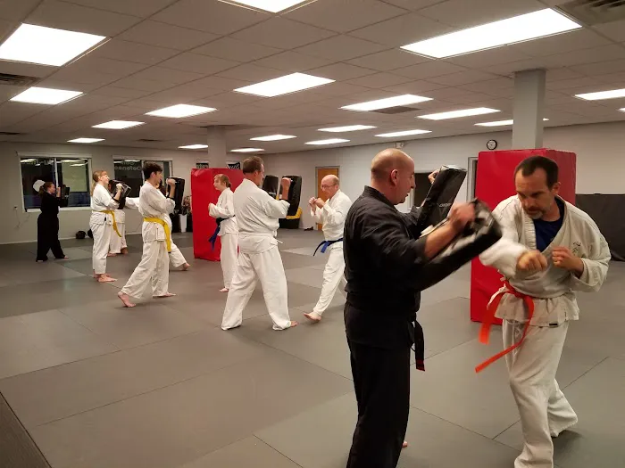 Anthony Quatrochi's Martial Arts Institute Picture 1
