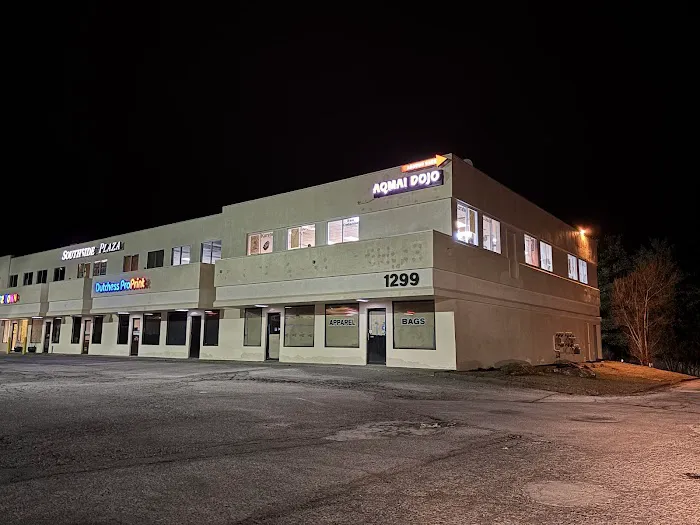 Anthony Quatrochi's Martial Arts Institute Picture 5