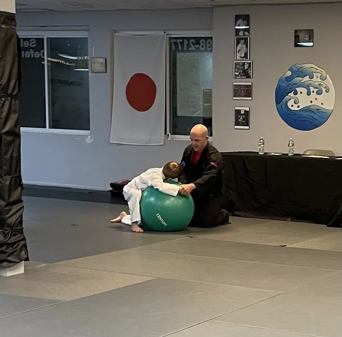 Anthony Quatrochi's Martial Arts Institute Picture 6
