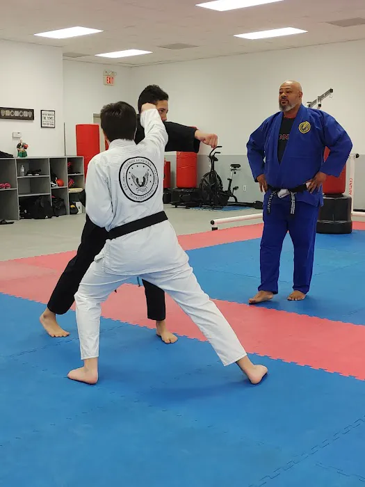 CHOSON ACADEMY OF FULL CIRCLE MARTIAL ARTS Picture 2