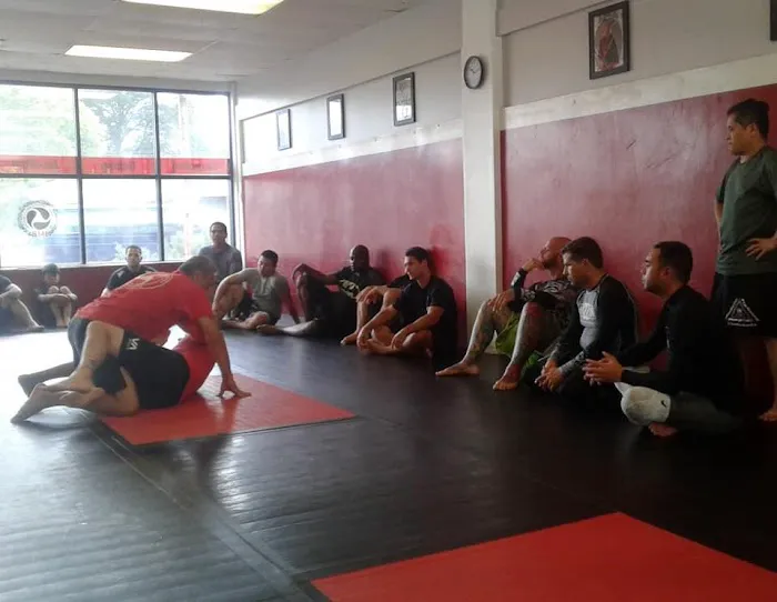 Modern Fighting Concepts Picture 3