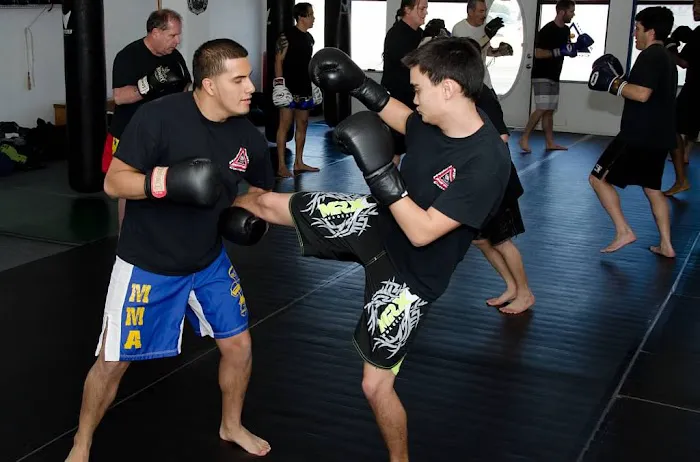 Modern Fighting Concepts Picture 6