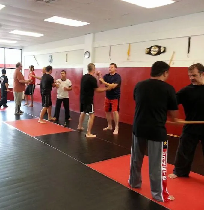 Modern Fighting Concepts Picture 7