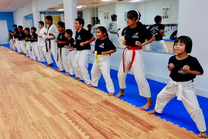 United Martial Arts Academy Picture 1
