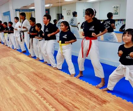 United Martial Arts Academy