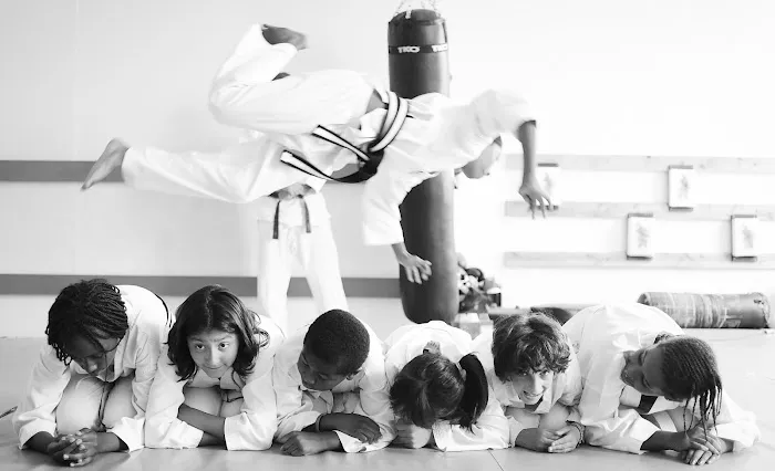 Zhang Sah Martial Arts and Learning Center Wynnefield Picture 1