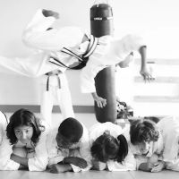 Zhang Sah Martial Arts and Learning Center Wynnefield ico