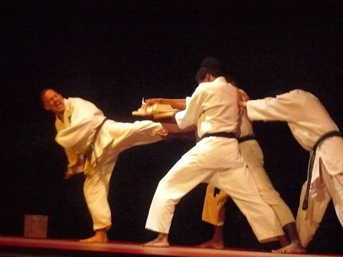 Zhang Sah Martial Arts and Learning Center Wynnefield Picture 4