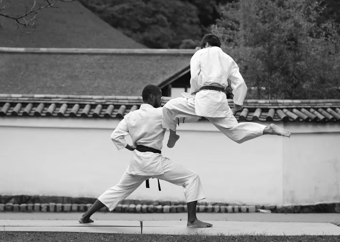 Zhang Sah Martial Arts and Learning Center Wynnefield Picture 6