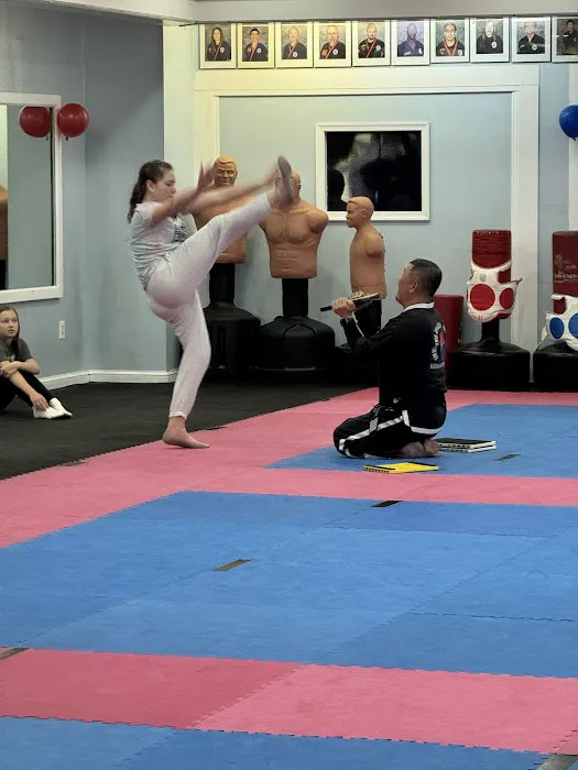 National Karate Institute Picture 7