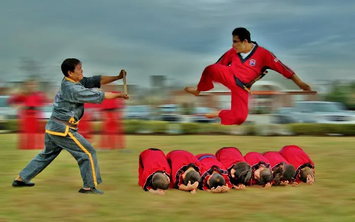 National Karate Institute Picture 5