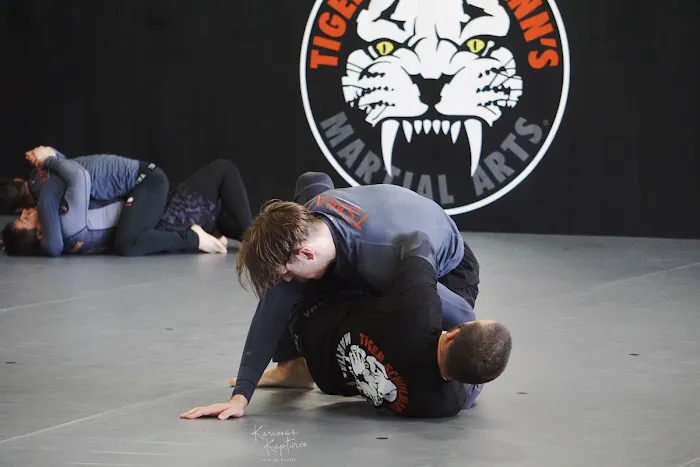 Tiger Schulmann's Martial Arts (Horsham, PA) Picture 2