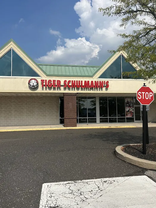 Tiger Schulmann's Martial Arts (Horsham, PA) Picture 6