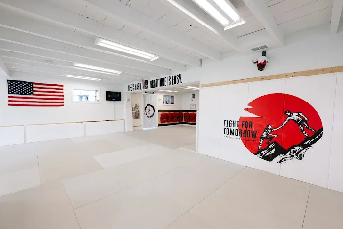 The Fight For Tomorrow Martial Arts Academy Picture 3