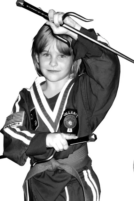 Villari's Self Defense Picture 1