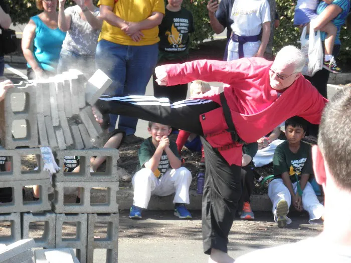 Villari's Self Defense Picture 7