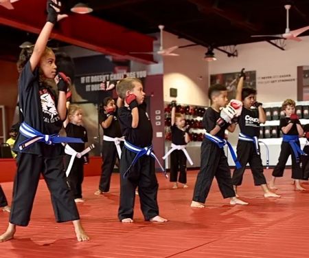 Tiger Schulmann's Martial Arts (Colmar, PA)