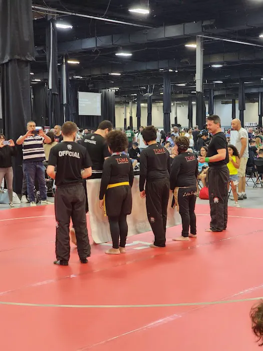 Tiger Schulmann's Martial Arts (Colmar, PA) Picture 6