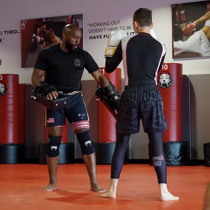Tiger Schulmann's Martial Arts (Colmar, PA) Picture 7