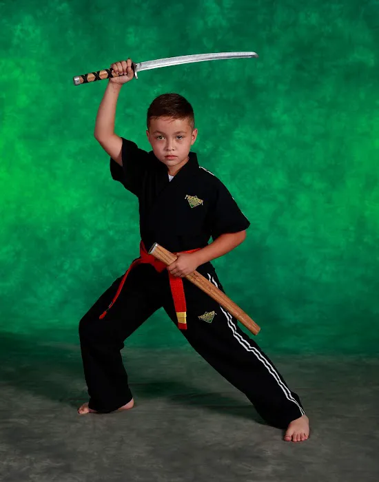 DeStolfo's Premier Martial Arts Picture 3