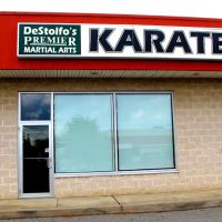 DeStolfo's Premier Martial Arts ico
