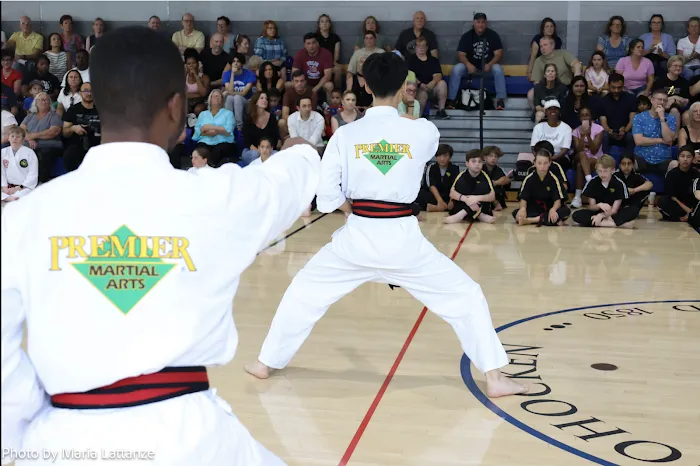 DeStolfo's Premier Martial Arts Picture 8