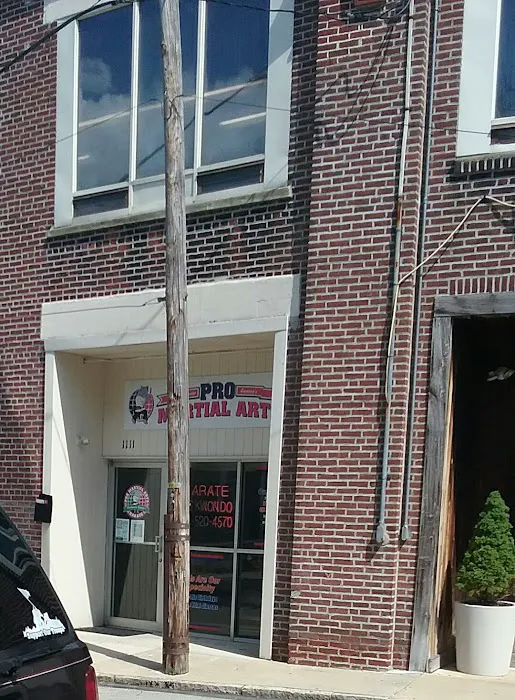 PRO Martial Fit - Bryn Mawr Picture 2