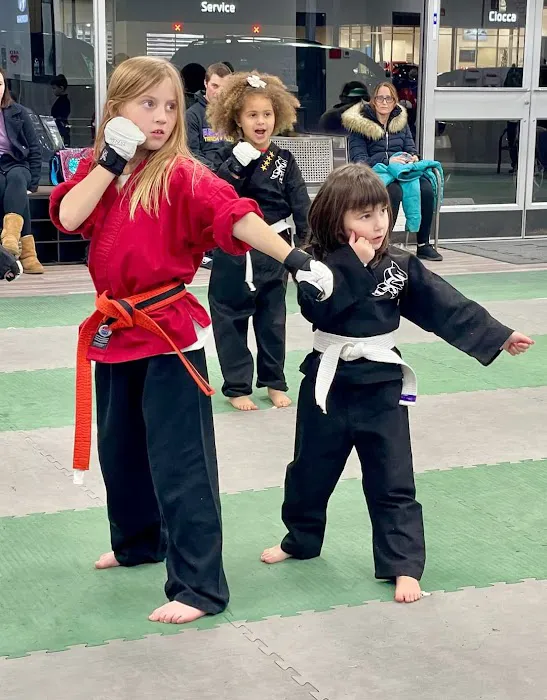 Action Karate Telford Picture 10