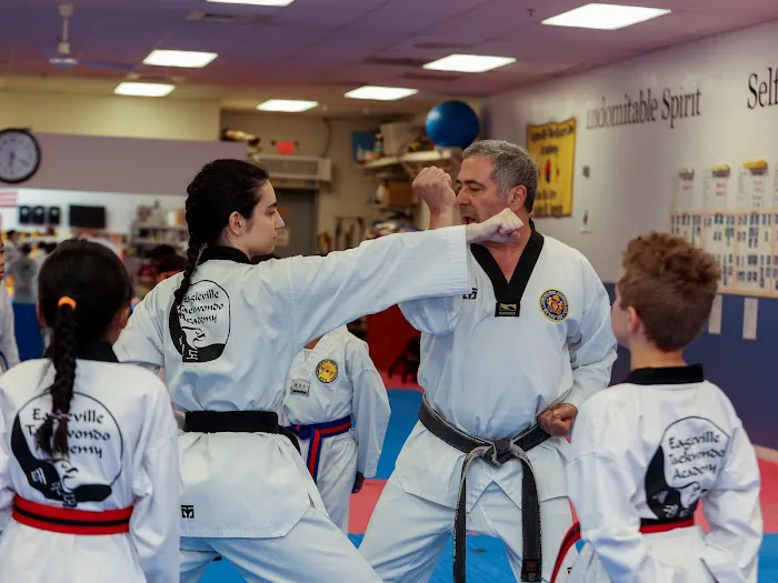 Eagleville Taekwondo Academy Picture 2