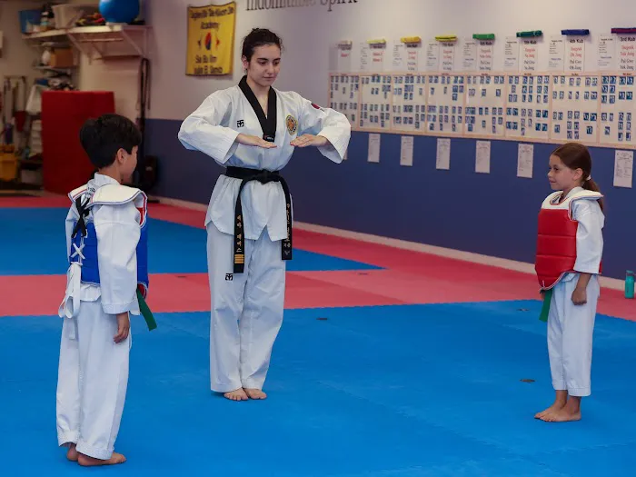 Eagleville Taekwondo Academy Picture 4