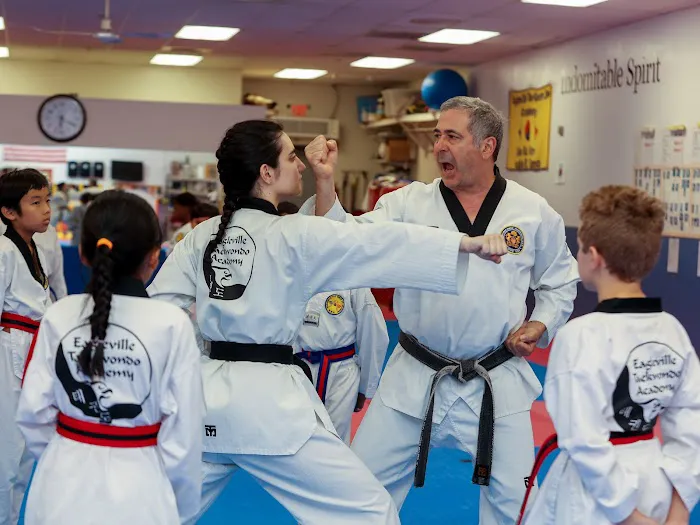 Eagleville Taekwondo Academy Picture 5