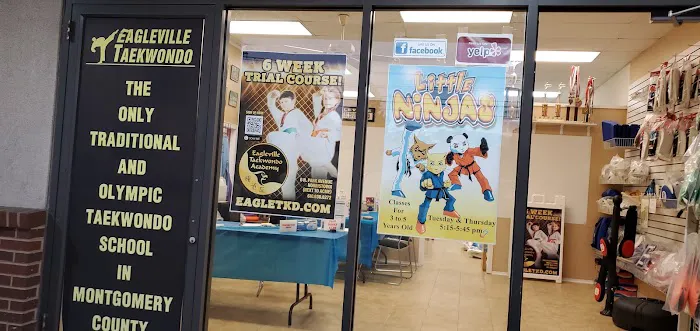 Eagleville Taekwondo Academy Picture 8