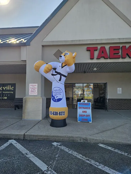 Eagleville Taekwondo Academy Picture 7